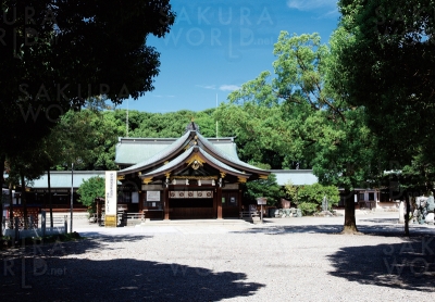 真清田神社 マスミダジンジャ 西尾張 東尾張近郊エリア 一宮市 ショッピング サービス その他 Web版咲楽 Sakura World Net サクラワールド