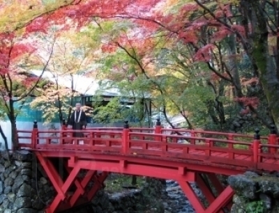 両界山横蔵寺「横蔵寺もみじまつり」